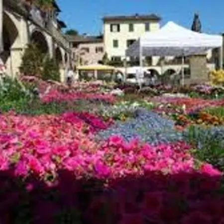 Apartment Happy Florence Matteotti Square Greve *